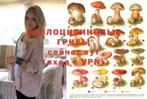 соль курить ск Зеленокумск