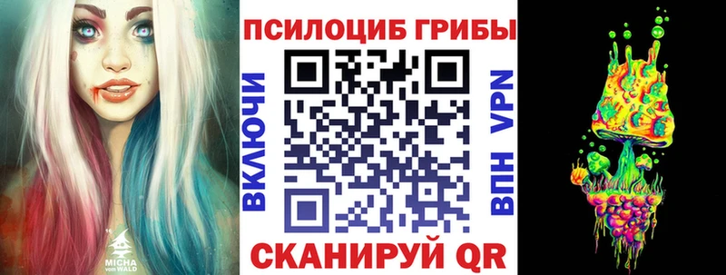 Купить закладки  Суровикино  Галлюциногенные грибы прущие грибы 